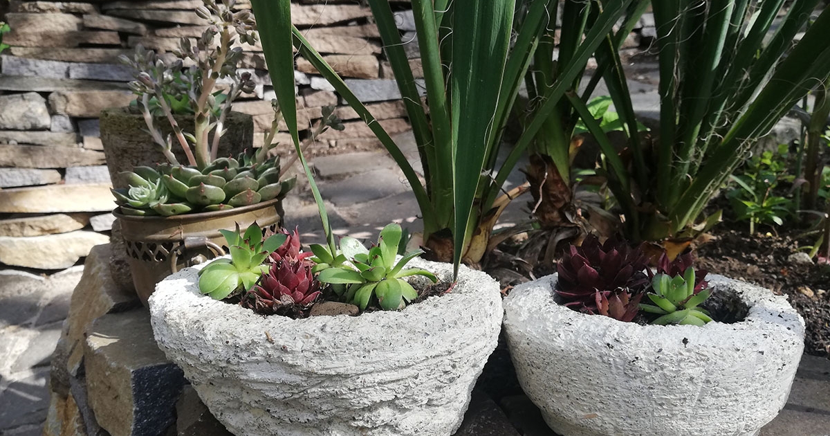 A kertem én vagyok! A kertünk mi vagyunk!